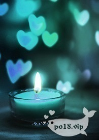 诱惑美人娇妻( 1V1 肉爽文)