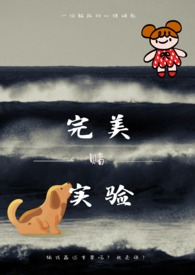 完美实验